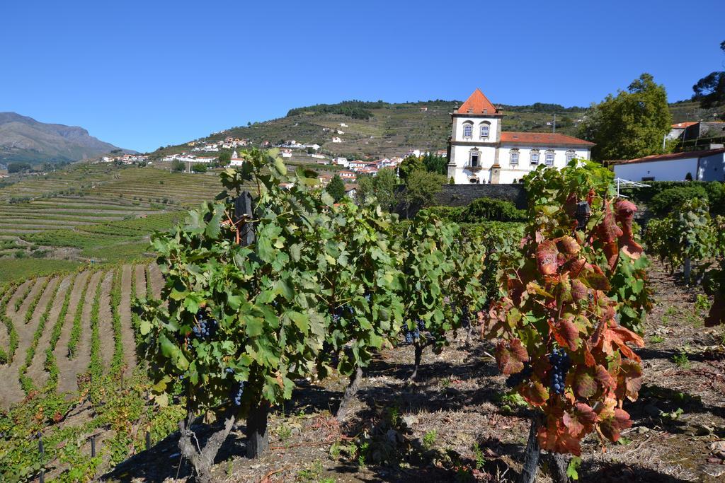Casa Das Torres De Oliveira 메사오프리오 외부 사진