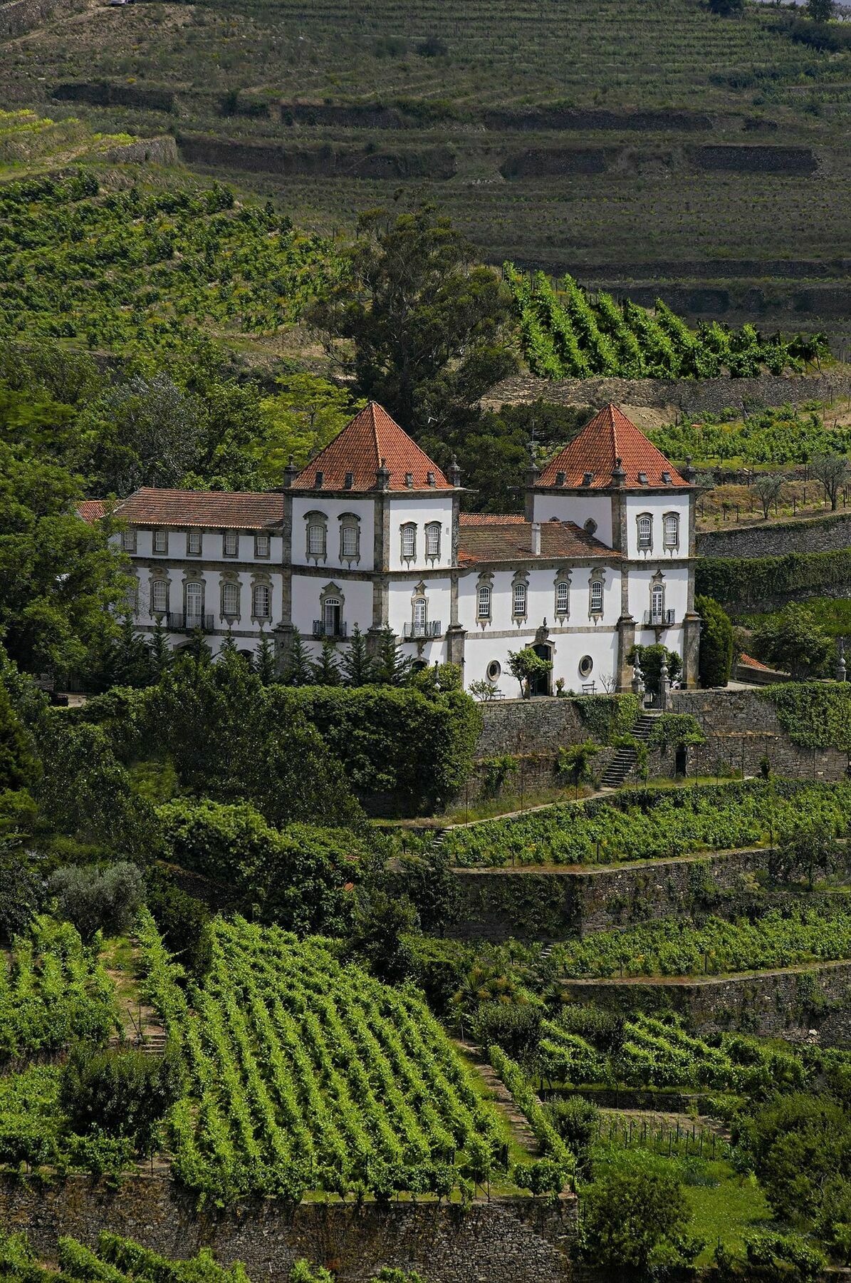 Casa Das Torres De Oliveira 메사오프리오 외부 사진