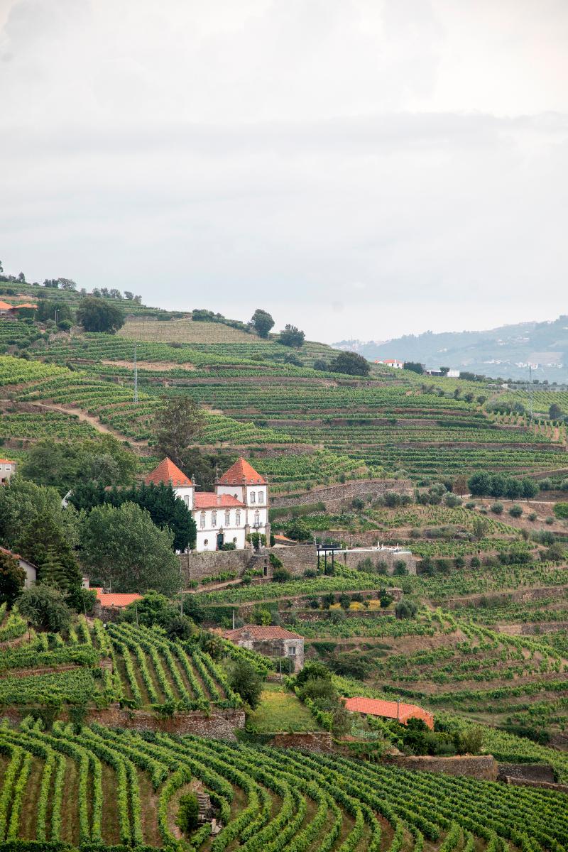 Casa Das Torres De Oliveira 메사오프리오 외부 사진